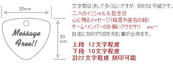 ギターピックタグ 30×30mm